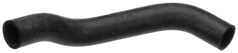 Radiator Hose -