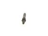 Nozzle and Holder Assembly -