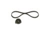 Timing Belt Kit -
