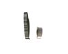 Timing Belt Kit -