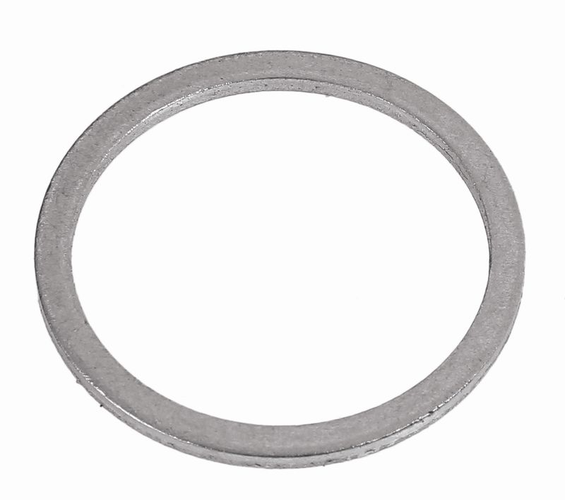 Seal Ring Tihendrõngas