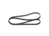 V-Ribbed Belt 6PK1795