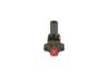 Unit Injector (UI) -