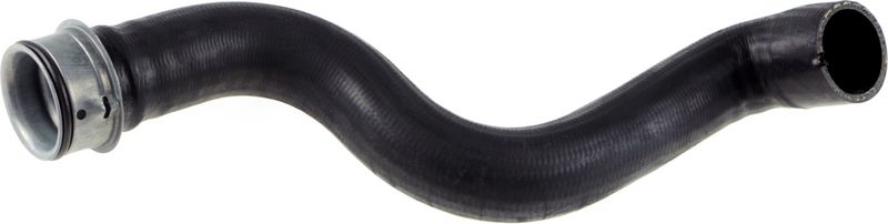 Radiator Hose -