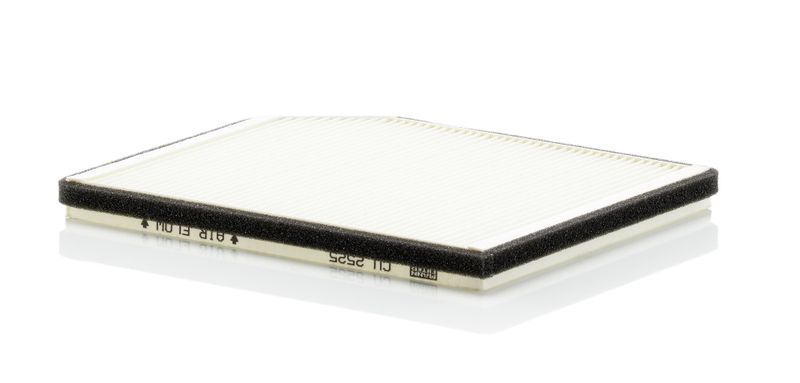 Filter, cabin air Renault Car 698173