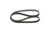 V-Ribbed Belt PSA - 5750 VH, RENAULT - 11 72 032 90R - 6PK1205