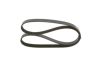 V-Ribbed Belt PSA - 5750 VH, RENAULT - 11 72 032 90R - 6PK1205