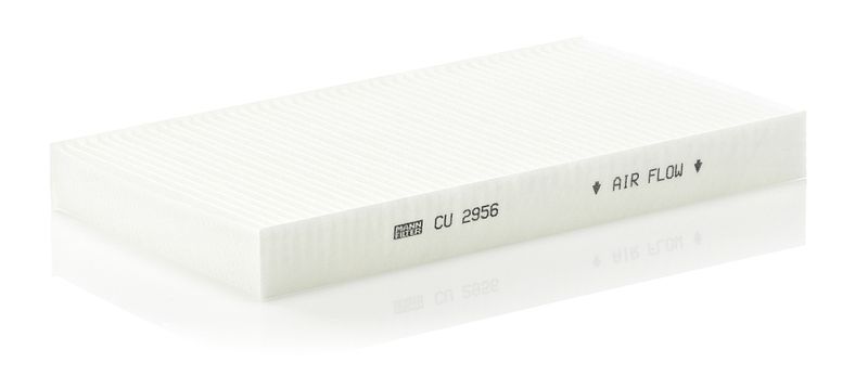 Filter, cabin air IVECO - 5003 14688