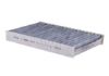 Filter, cabin air KUBISTAR (X76), THALIA II