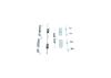 Accessory Kit, brake shoes -