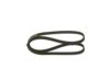 V-Ribbed Belt 5PK1125