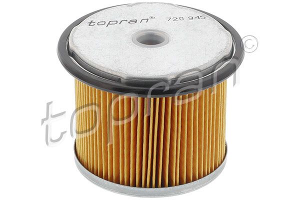 Fuel Filter Fiat, PSA-Normteile