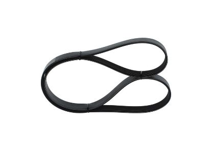 V-Ribbed Belt -