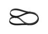 V-Ribbed Belt -