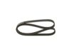 V-Ribbed Belt 6PK1190
