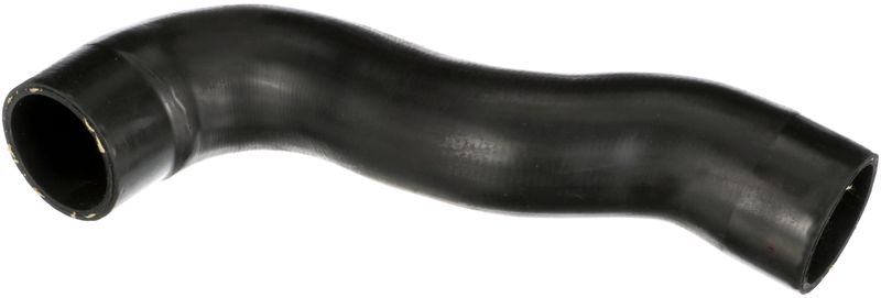 Radiator Hose -