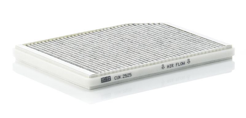 Filter, cabin air Renault Car 80000434
