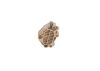 Fuel Pump Diesel Spare Parts (modern)