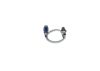Oxygen Sensor -