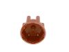 Distributor Cap -