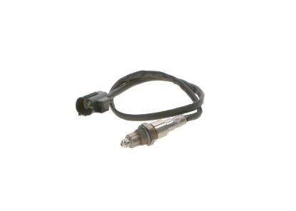 Oxygen Sensor -