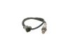 Oxygen Sensor -