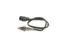 Oxygen Sensor -