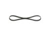 V-Ribbed Belt PSA - 4007.99, BMW - 11 28 1 703 943 - 5PK890