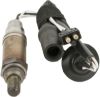 Oxygen Sensor -