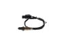 Oxygen Sensor -