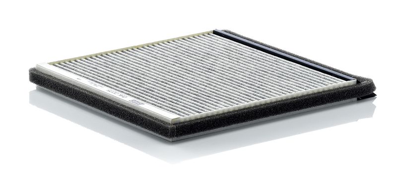 Filter, cabin air PSA CFA5551