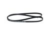 V-Ribbed Belt -