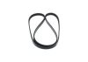 V-Ribbed Belt -