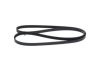 V-Ribbed Belt -