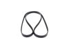 V-Ribbed Belt -