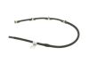 Hose, fuel overflow -