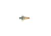 Oil Pressure Switch -