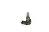 Injector Nozzle CRAFTER 30-35 Buss (2E_)