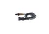 Oxygen Sensor -