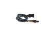 Oxygen Sensor -