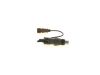Nozzle and Holder Assembly 1980 60 CITRO—N