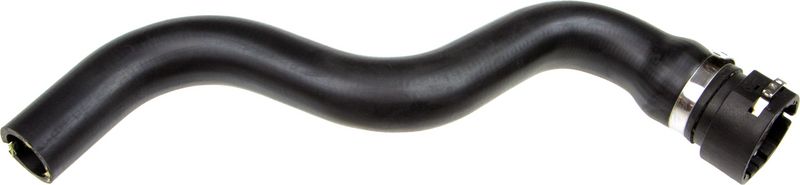 Radiator Hose -