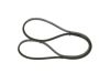 V-Belt 13X2025