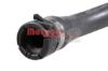 Radiator Hose -