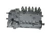 lnjection Pump -