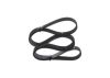 V-Ribbed Belt RENAULT - 11 92 000 54R - 7 PK 1705