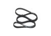 V-Ribbed Belt RENAULT - 11 92 000 54R - 7 PK 1705
