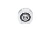 Alternator Freewheel Clutch -