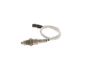 Oxygen Sensor -