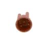 Distributor Cap -